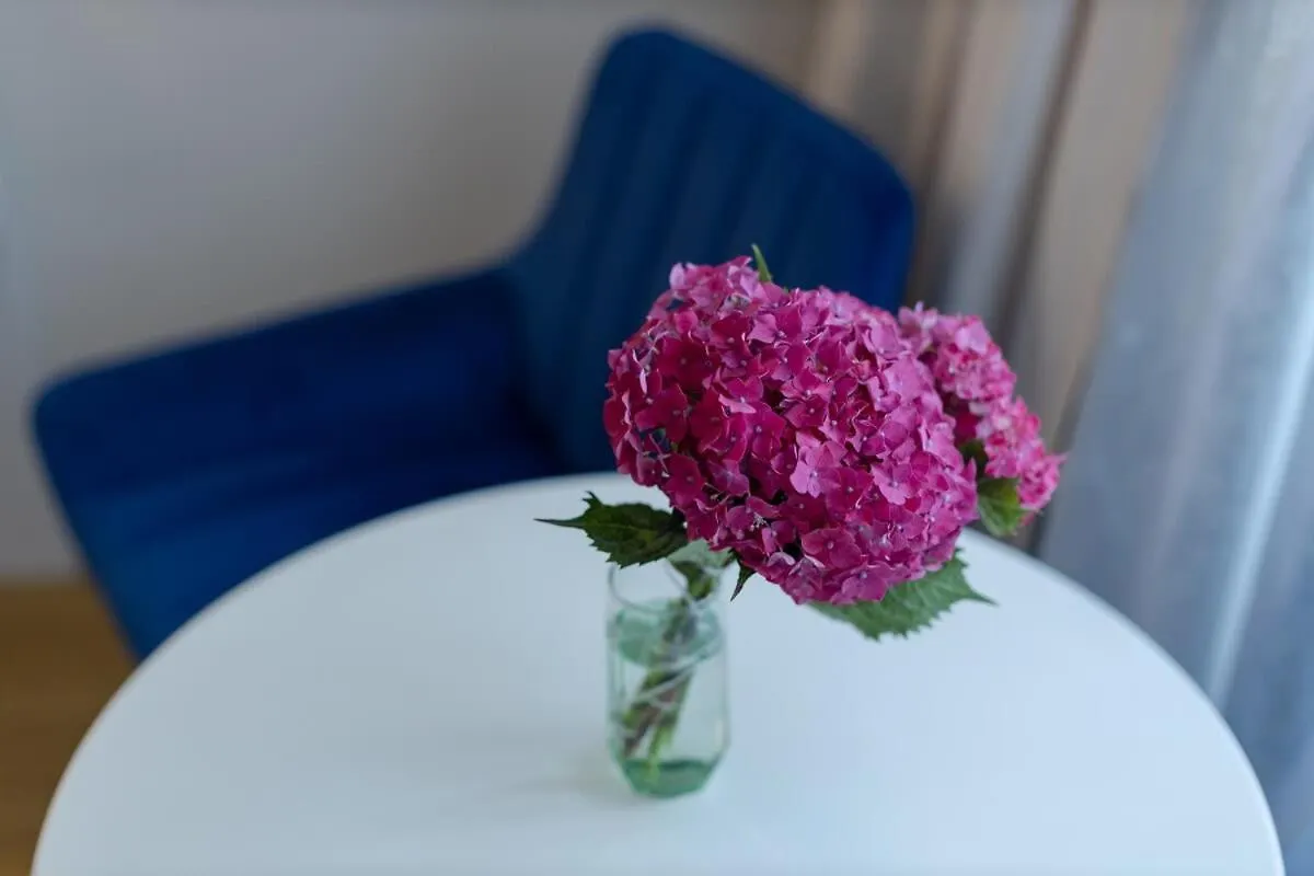 Stylish Studio In New Батуми 0*,  Грузия